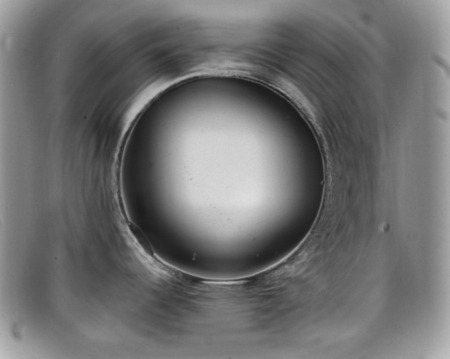 X0000099301344200805021223