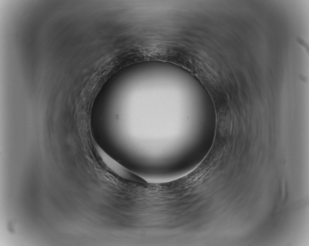 X0000099301345200805021222