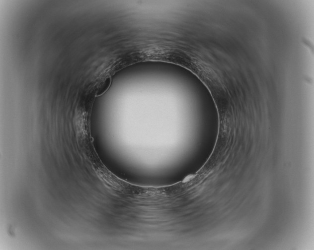 X0000099301346200805021222