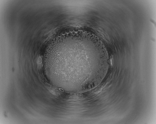 X0000099301347200805021222