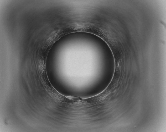 X0000099301348200805021222