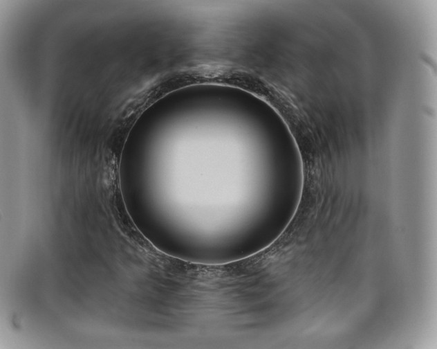 X0000099301349200805021222