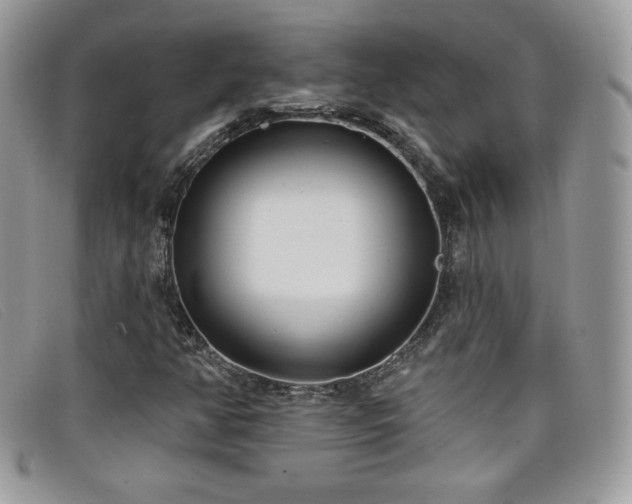 X0000099301350200805021222