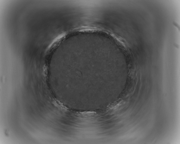 X0000099301351200805021222