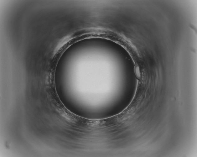 X0000099301352200805021222