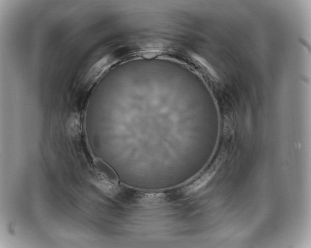 X0000099301353200805021222