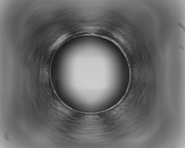 X0000099301354200805021222