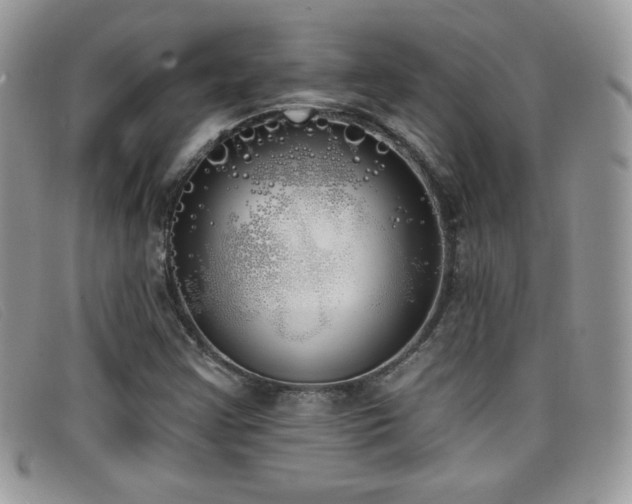 X0000099301355200805021222