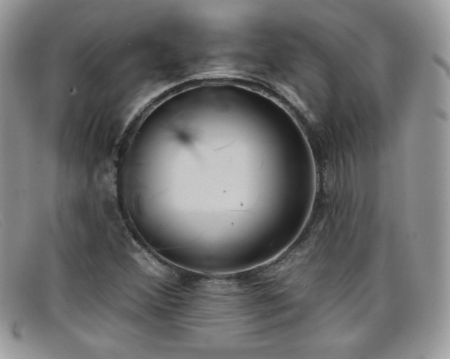 X0000099301356200805021222