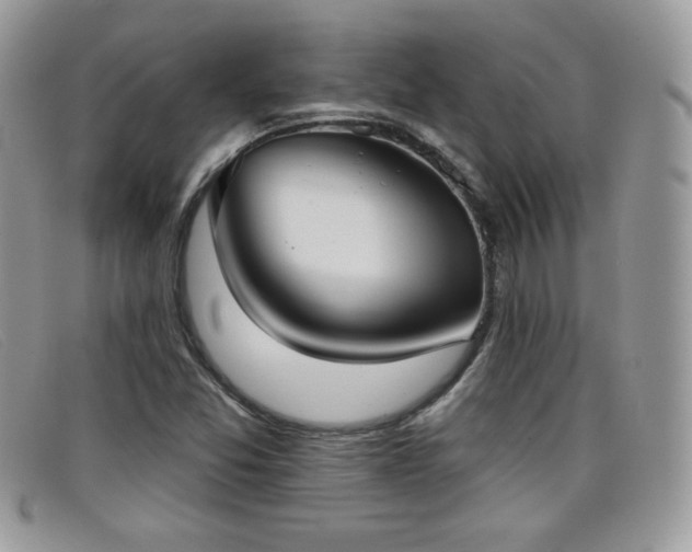 X0000099301357200805021222