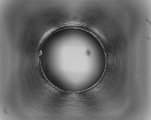 X0000099301358200805021222