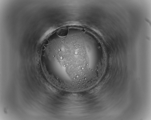 X0000099301359200805021222