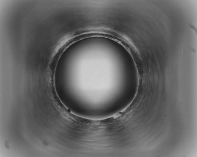 X0000099301360200805021222