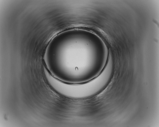 X0000099301361200805021222