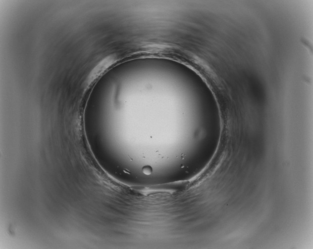 X0000099301362200805021222