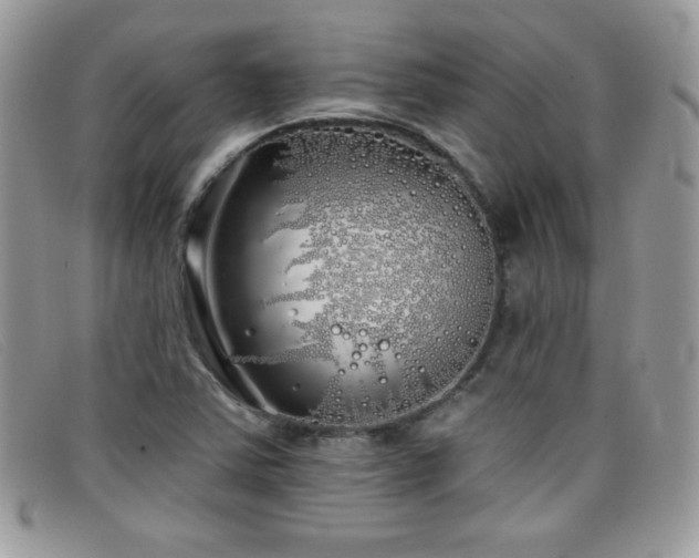 X0000099301363200805021222