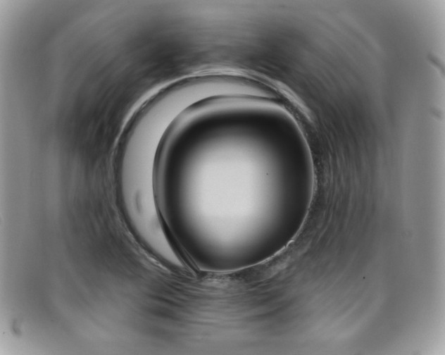 X0000099301364200805021222