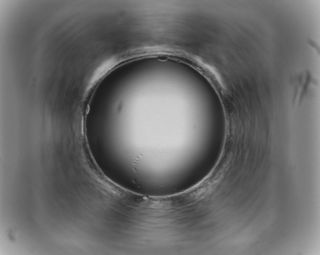 X0000099301365200805021222