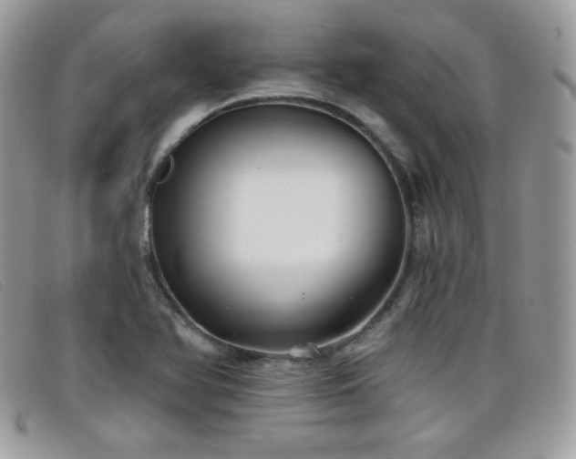 X0000099301366200805021222