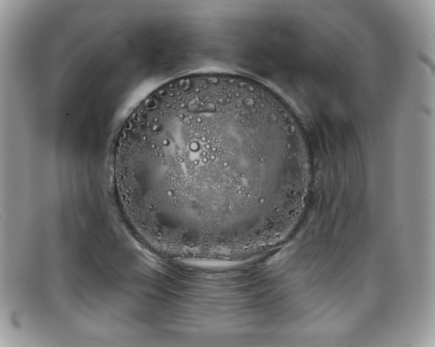 X0000099301367200805021222