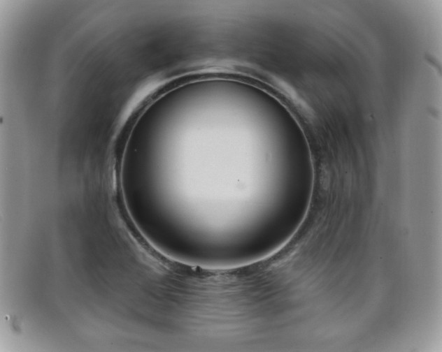 X0000099301368200805021222