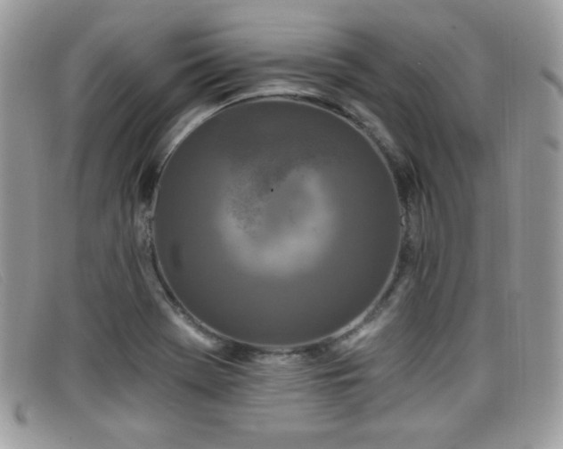 X0000099301369200805021222