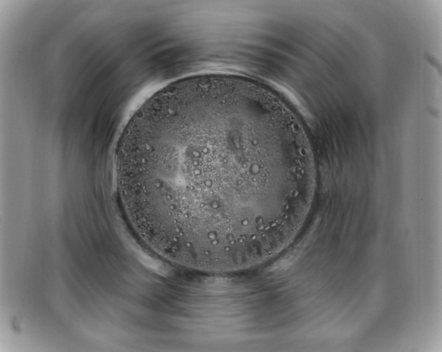 X0000099301371200805021222
