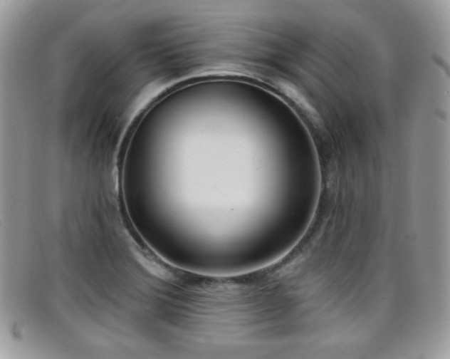 X0000099301372200805021222