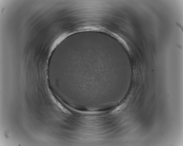 X0000099301373200805021222