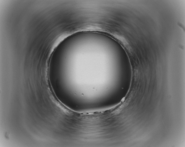 X0000099301374200805021222