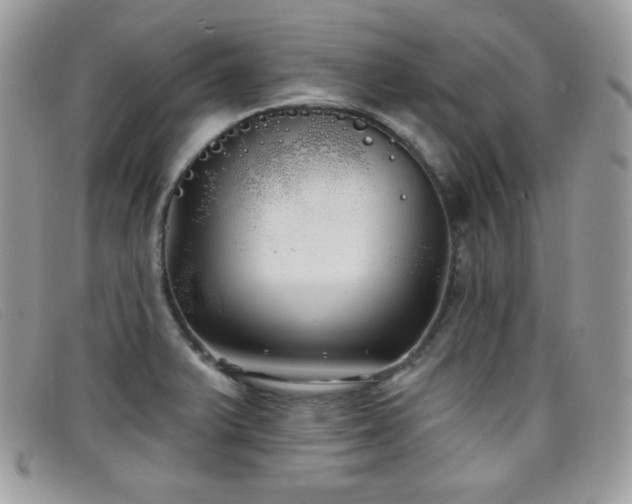 X0000099301375200805021222