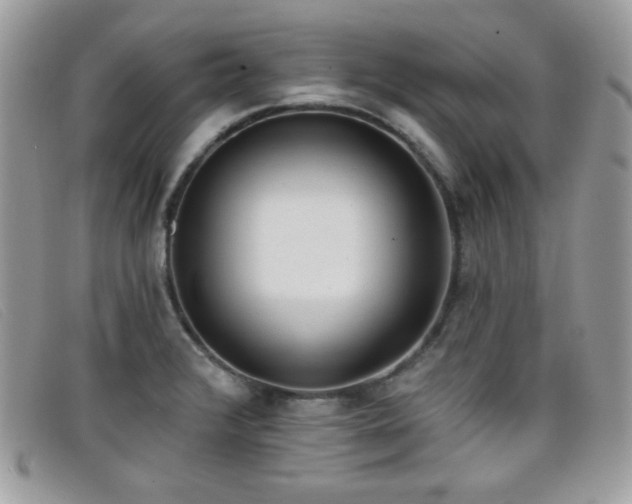 X0000099301376200805021222