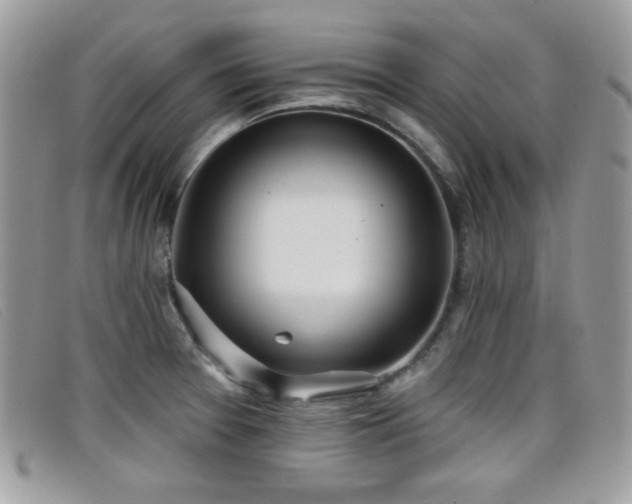 X0000099301377200805021222