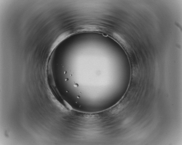 X0000099301378200805021222