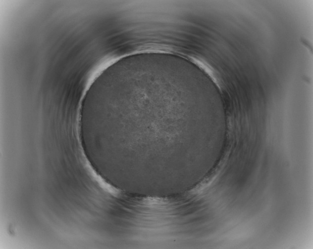 X0000099301379200805021222