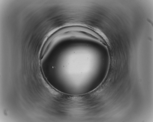 X0000099301380200805021222