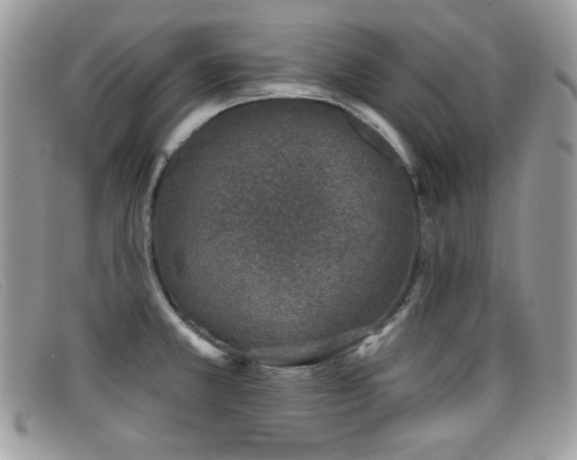 X0000099301381200805021222