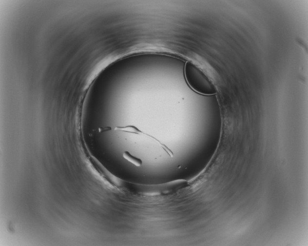 X0000099301382200805021222