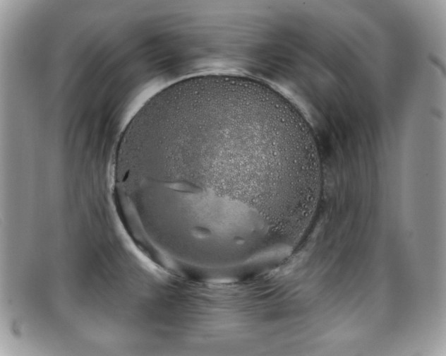 X0000099301383200805021222