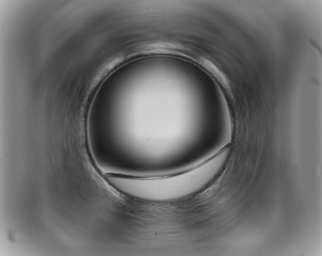 X0000099301384200805021222