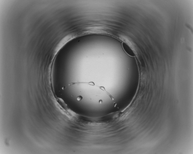 X0000099301386200805021222