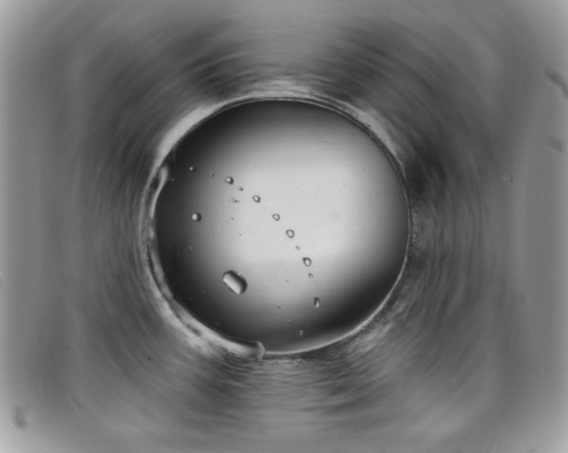 X0000099301387200805021222