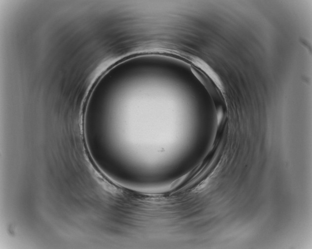 X0000099301388200805021222