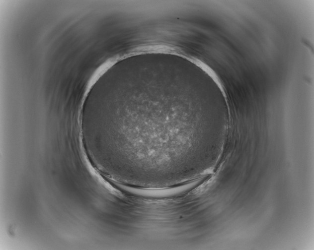 X0000099301389200805021222