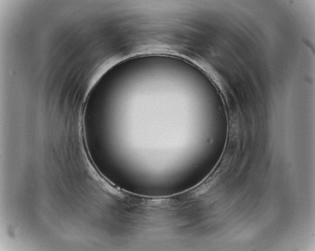 X0000099301390200805021222