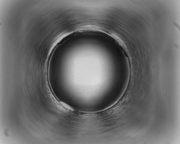 X0000099301392200805021222