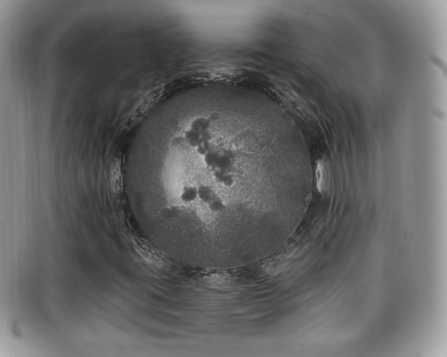 X0000099301395200805021221