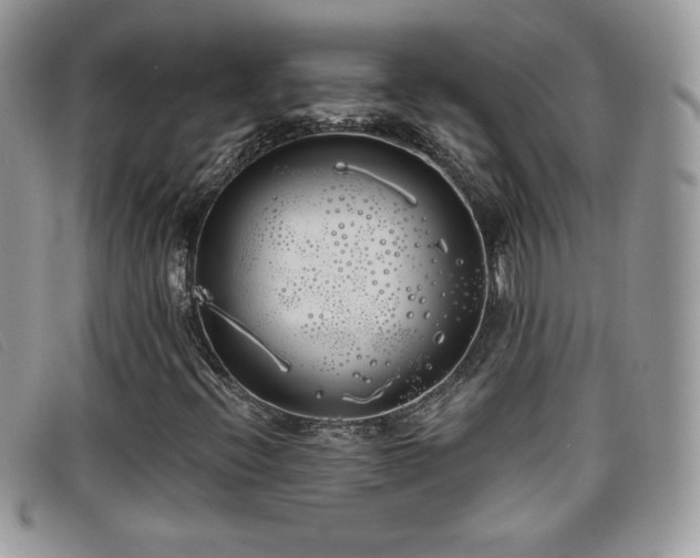 X0000099301396200805021221