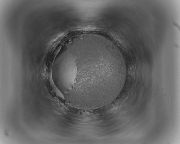 X0000099301398200805021221