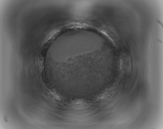 X0000099301399200805021221